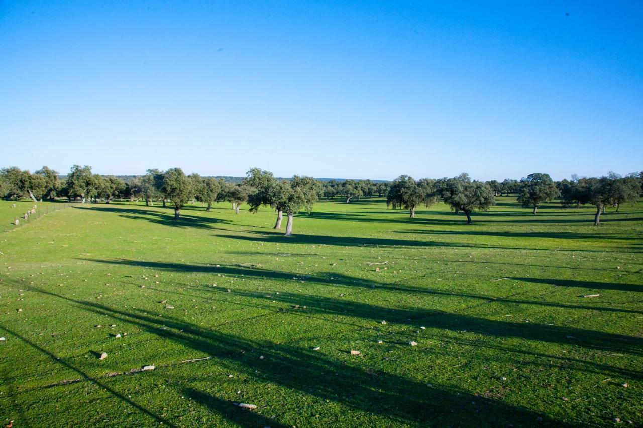 Cortijo Charcollana Villa Pozoblanco Dış mekan fotoğraf