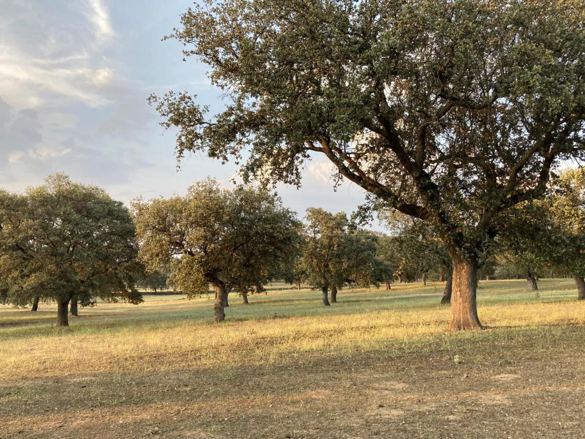 Cortijo Charcollana Villa Pozoblanco Dış mekan fotoğraf